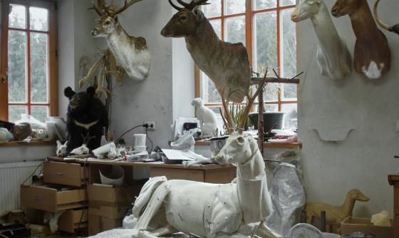 Scena z filmu Animus Animalis