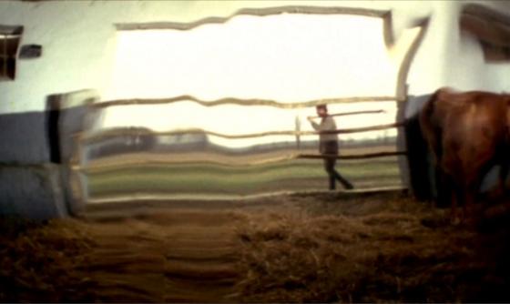 Scena z filmu Elegy