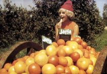 Scena z filmu JAFFA, the Orange's Clockwork