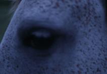 Scena z filmu La fundición del tiempo