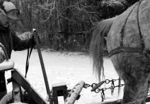 Scena z filmu Workhorse