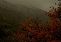Scena z filmu Autumn Colours