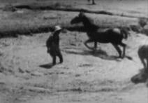 Scena z filmu Horse of Mud