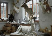 Scena z filmu Animus Animalis