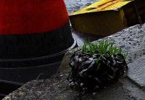 Scena z filmu Lost Sound