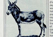 Scena z filmu Associations