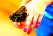 Scena z filmu Pervading Animal