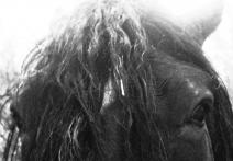 Scena z filmu Cold and Dark