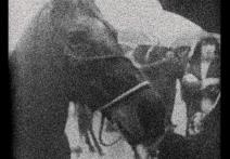 Scena z filmu 3 Dreams of Horses