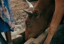 Scena z filmu Guardian of the Well