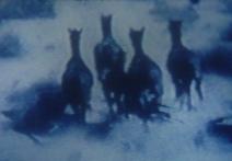 Scena z filmu Womannightfilm