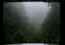 Scena z filmu Cry Love