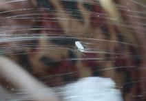 Scena z filmu Babajanja