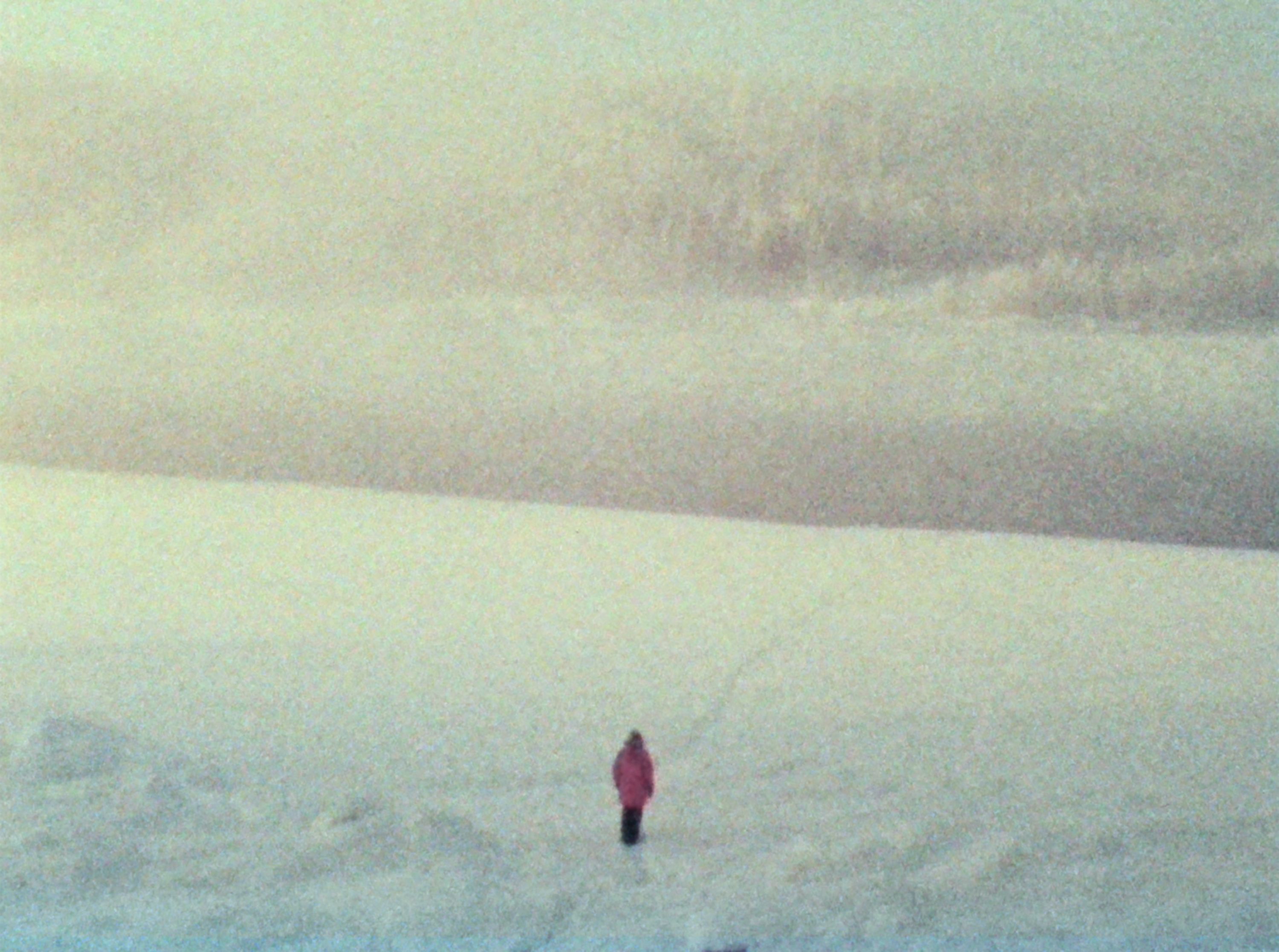 optimism examples in movies