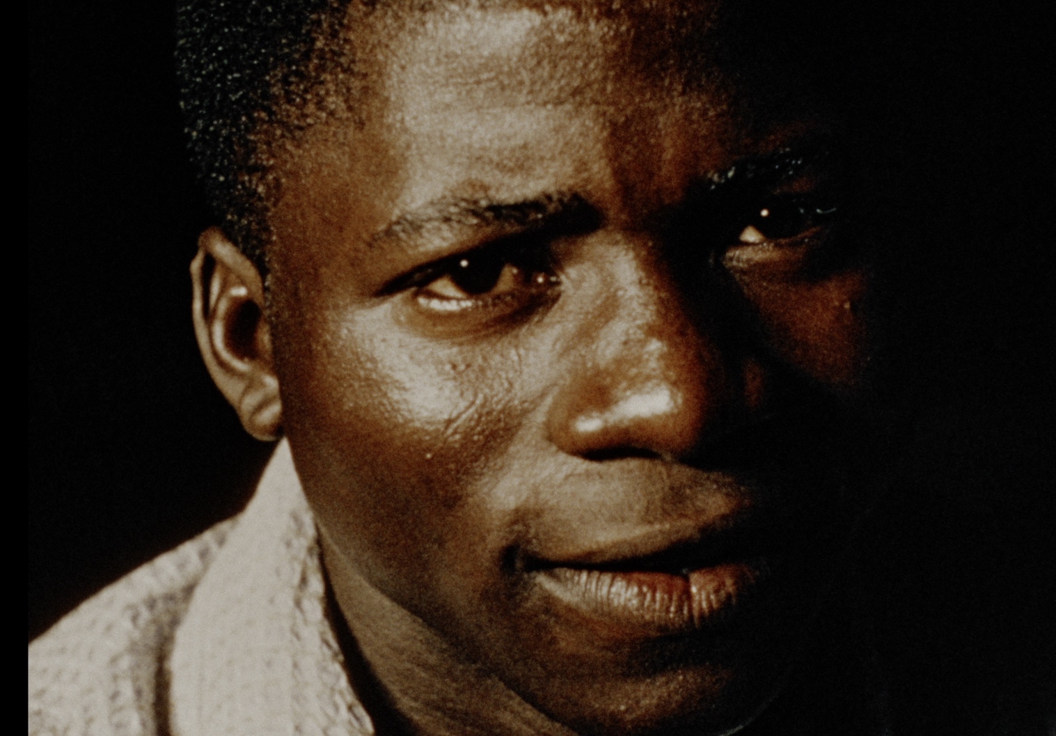 Moi, un noir dafilms.pl oglądaj online